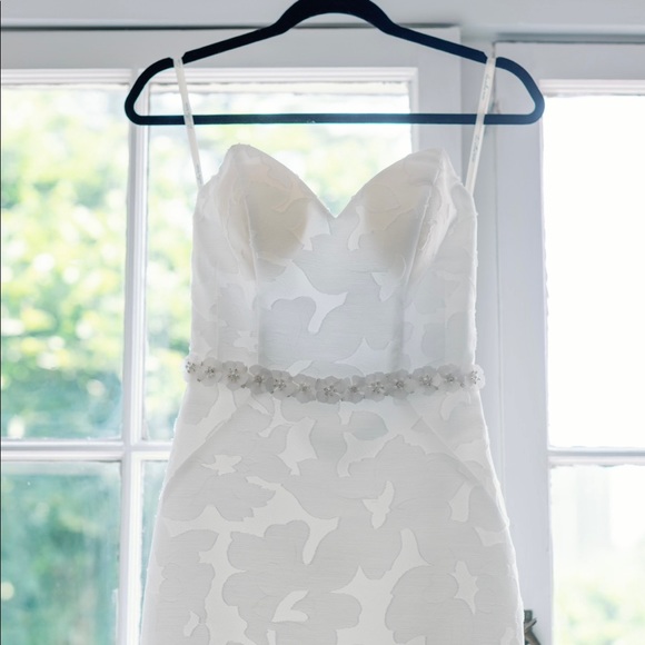 Anne Barge Blue Willow Wedding Dress (Walker style) - Picture 9 of 16